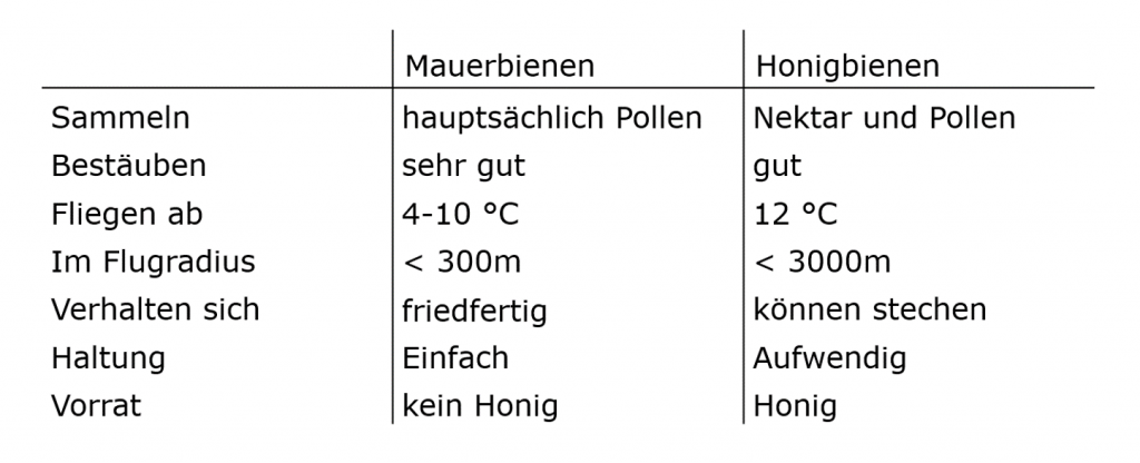 Tabelle Vergleich Rostroten Mauerbiene (Osmia bicornis) und Gehörnte Mauerbiene (Osmia cornuta) und Honigbiene