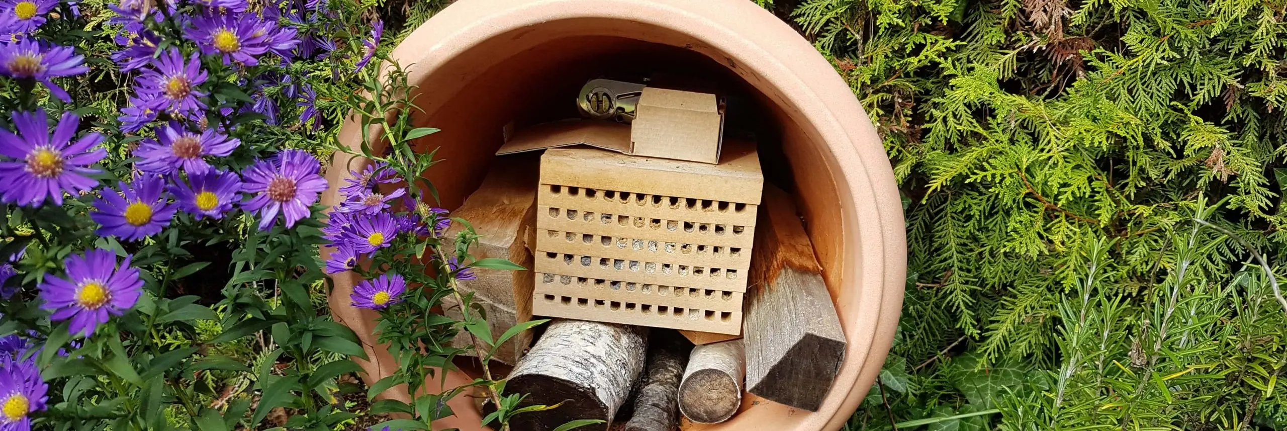 Nisthilfe Standort in Blumentopf für Rostrote und Gehörnte Mauerbiene (Osmia bicornis und cornuta)