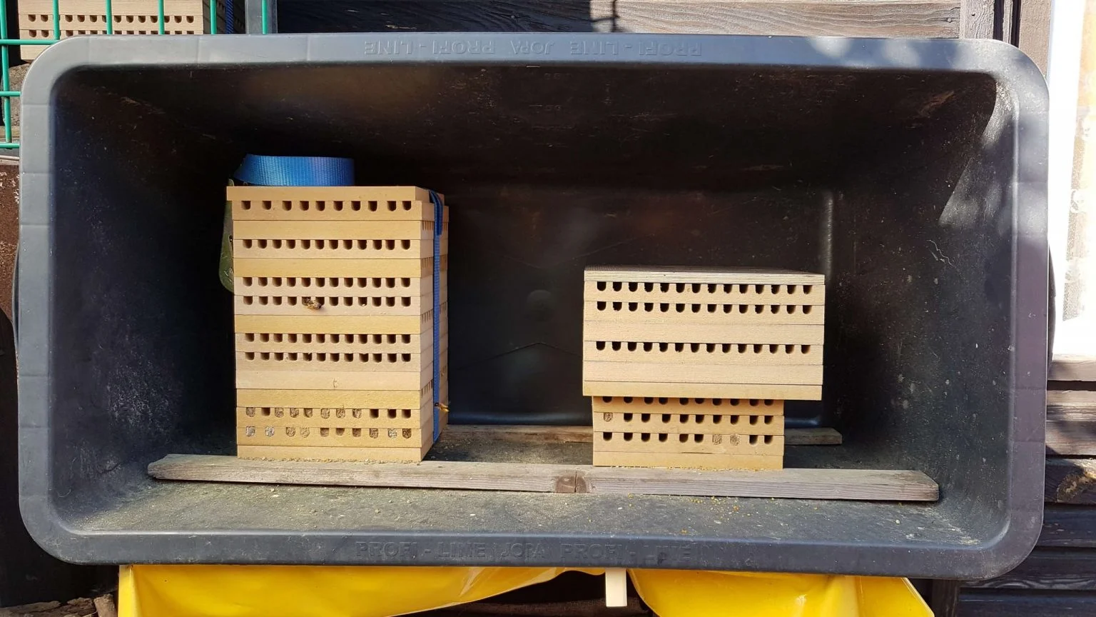 Niststand mit Nistblöcken für Rostrote und Gehörnte Mauerbienen (Osmia bicornis und cornuta)