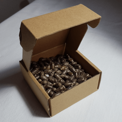 Box mit Kokons der Rostroten Mauerbiene (Osmia bicornis)